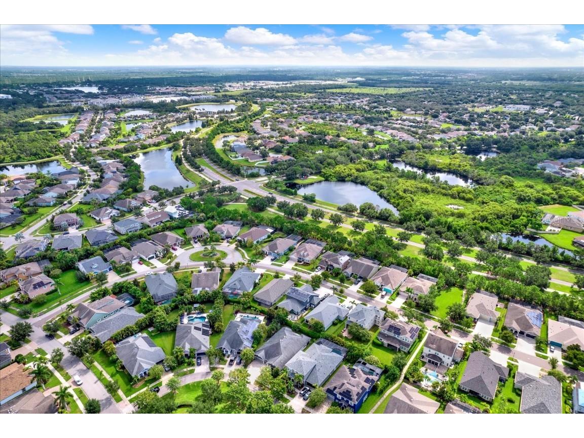 7017 Artesian Court Apollo Beach FL 33572 TB8409233 image50