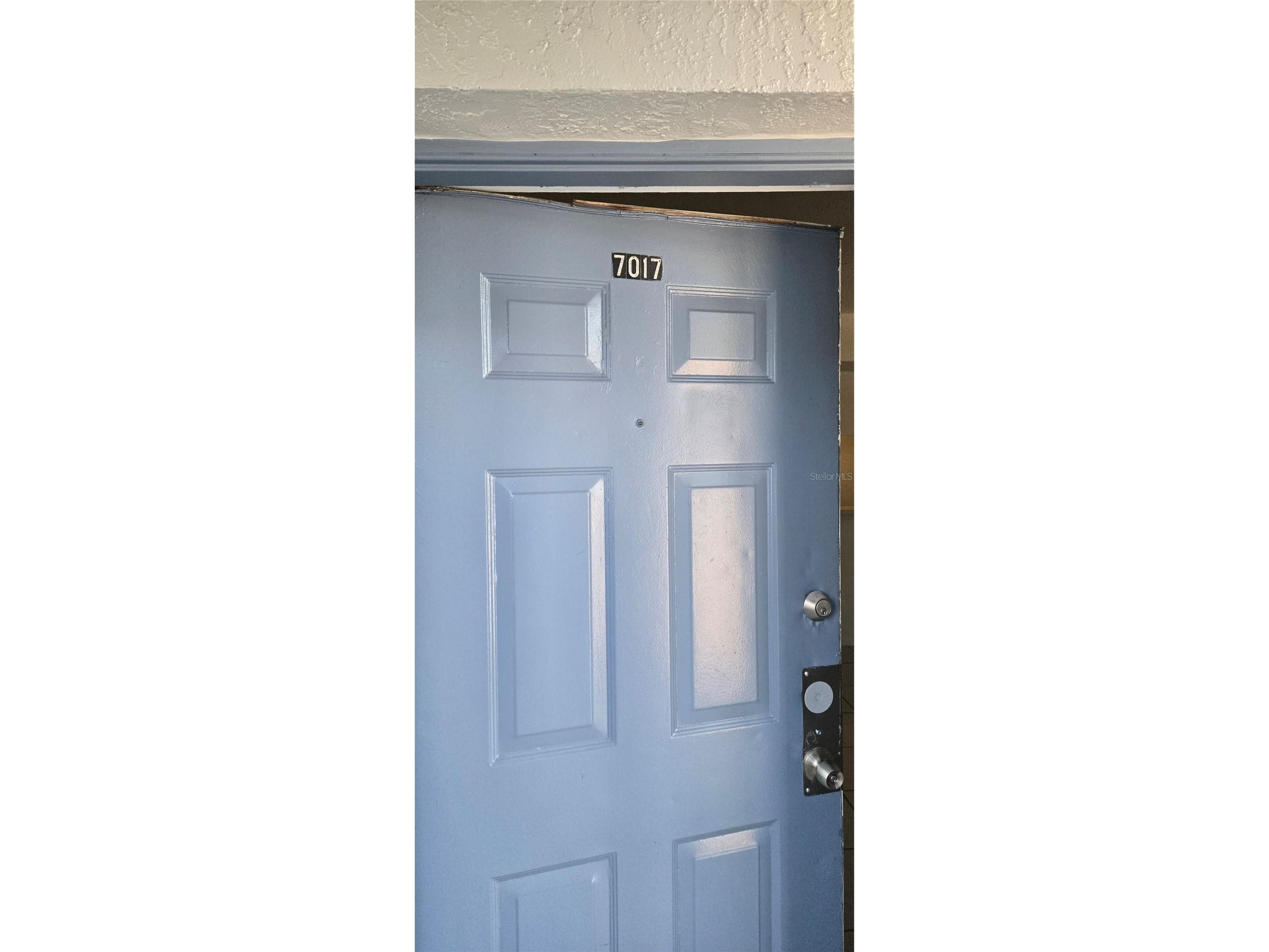 7017 Waterside Drive #1 Tampa FL 33617 TB8472566 image1