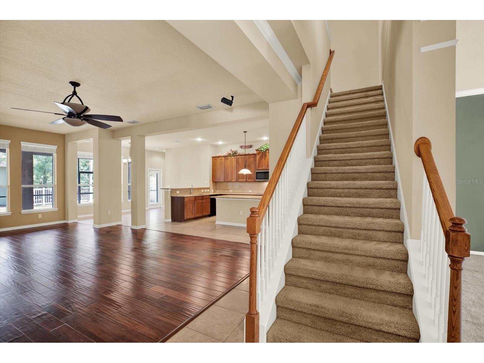 7018 Cardinalwood Lane Land O Lakes FL 34637 - BAY LAKE TB8492737 image12