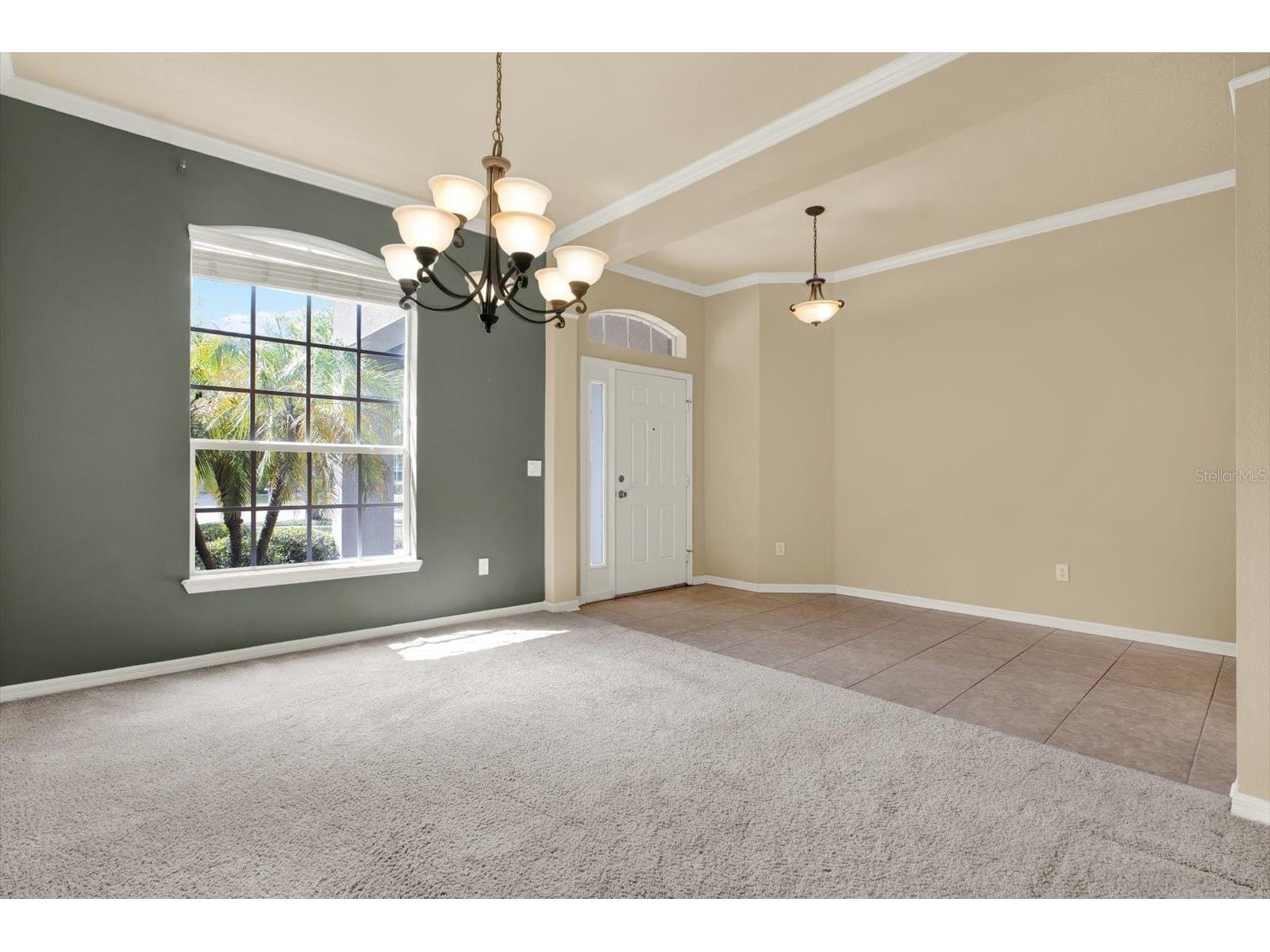 7018 Cardinalwood Lane Land O Lakes FL 34637 - BAY LAKE TB8492737 image14