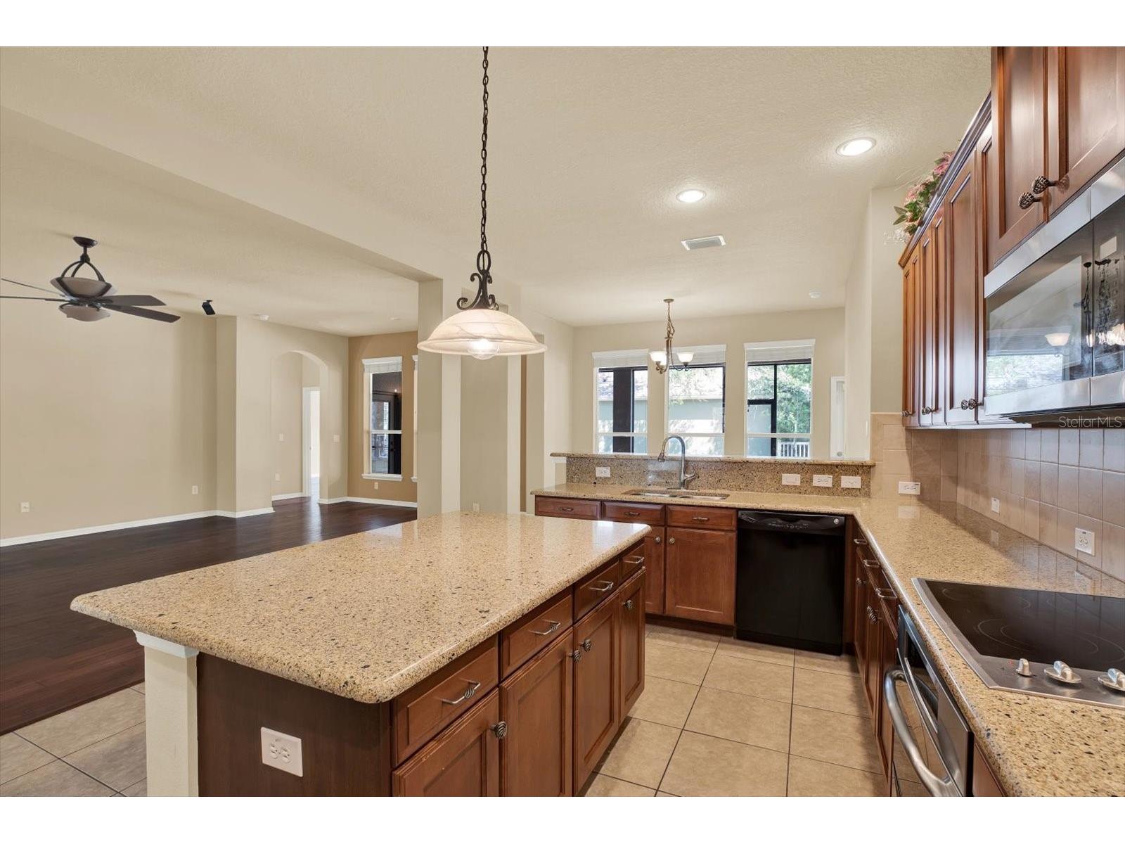 7018 Cardinalwood Lane Land O Lakes FL 34637 - BAY LAKE TB8492737 image21
