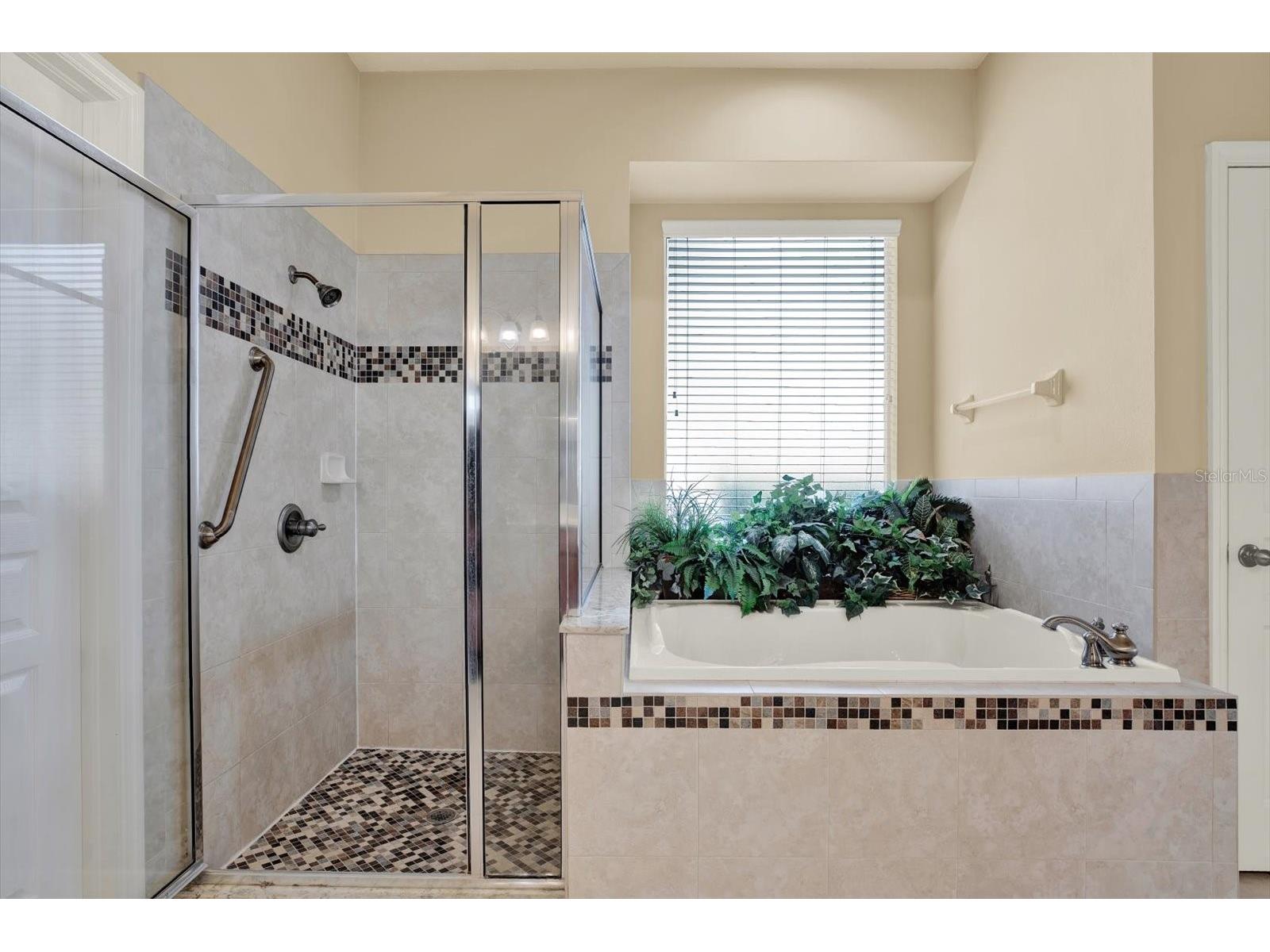 7018 Cardinalwood Lane Land O Lakes FL 34637 - BAY LAKE TB8492737 image30