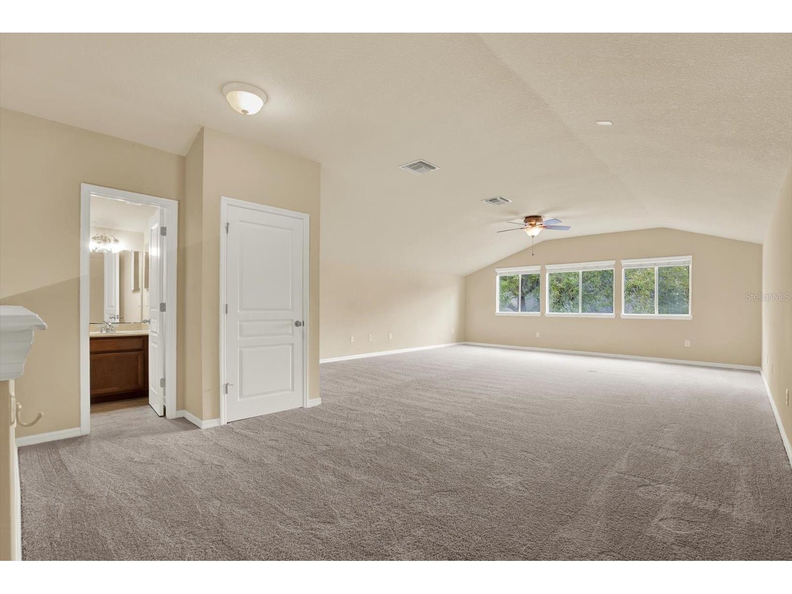 7018 Cardinalwood Lane Land O Lakes FL 34637 - BAY LAKE TB8492737 image39
