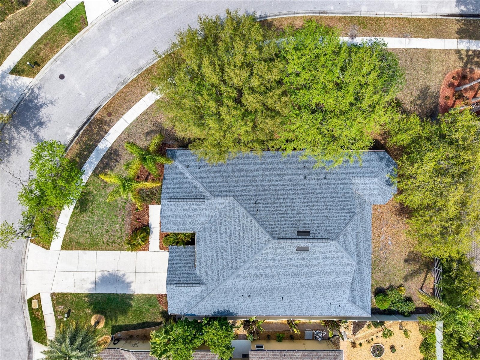 7018 Cardinalwood Lane Land O Lakes FL 34637 - BAY LAKE TB8492737 image48