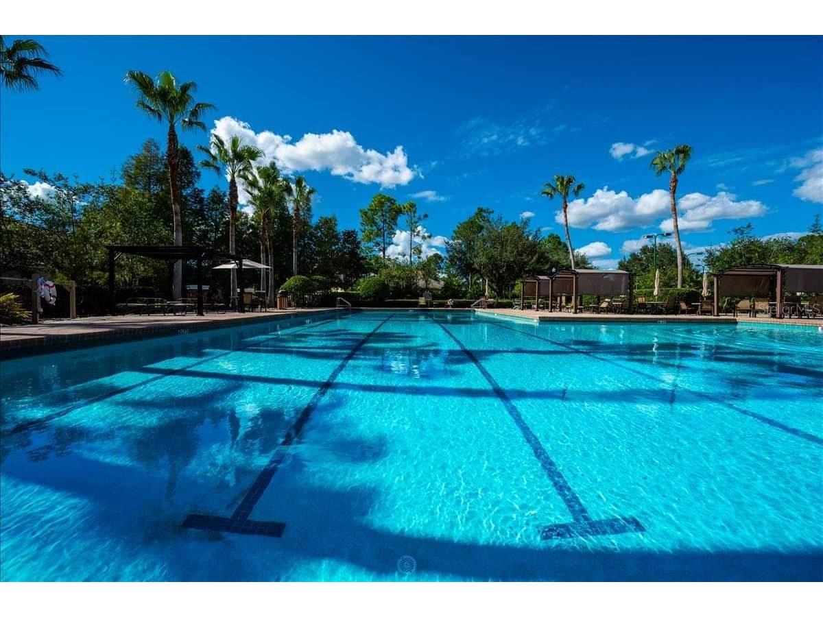 7018 Cardinalwood Lane Land O Lakes FL 34637 - BAY LAKE TB8492737 image55