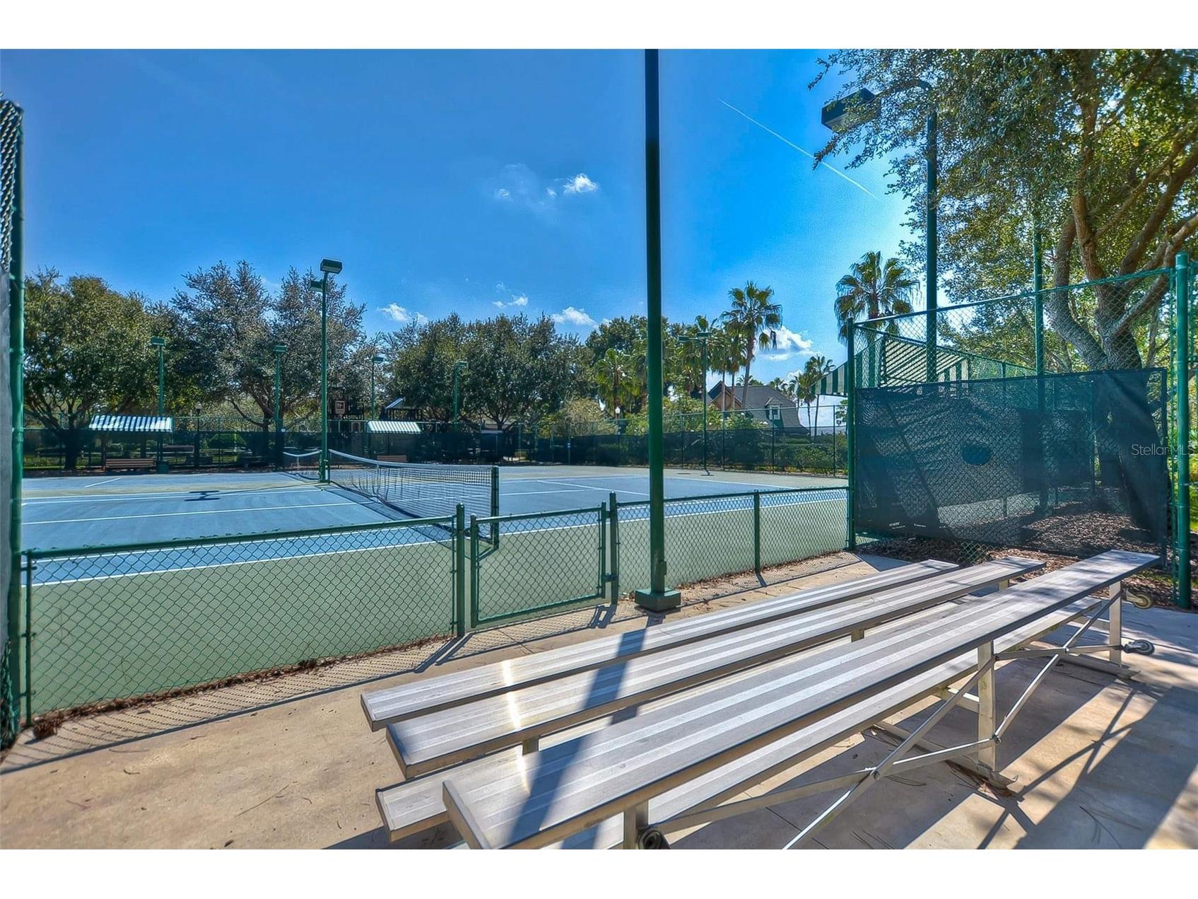 7018 Cardinalwood Lane Land O Lakes FL 34637 - BAY LAKE TB8492737 image61