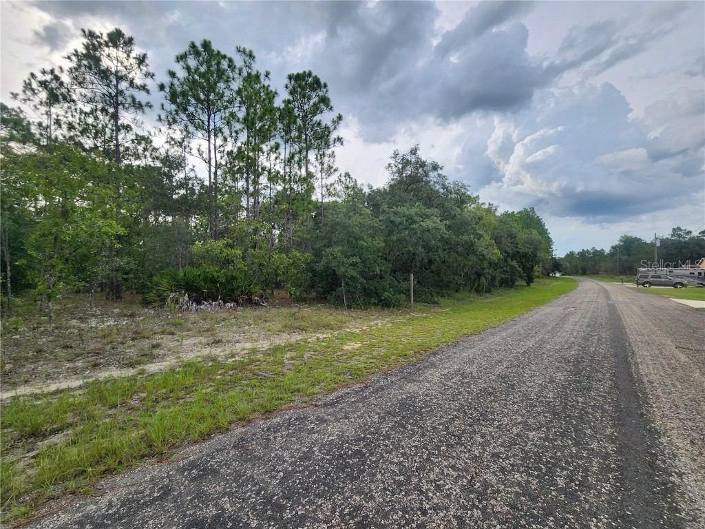 7018 N Foxdale Drive Citrus Springs FL 34434 OM682794 image1