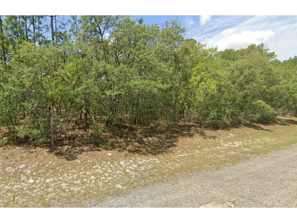 7018 N Foxdale Drive Citrus Springs FL 34434 T3533856 image1