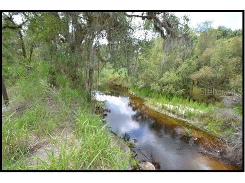 7019 Crooked Creek Lane Zolfo Springs FL 33890 - CHARLIE CREEK C7462024 image1