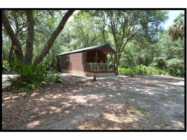 7019 Crooked Creek Lane Zolfo Springs FL 33890 - CHARLIE CREEK C7462024 image12