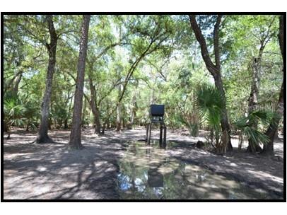 7019 Crooked Creek Lane Zolfo Springs FL 33890 - CHARLIE CREEK C7462024 image2