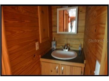 7019 Crooked Creek Lane Zolfo Springs FL 33890 - CHARLIE CREEK C7462024 image21