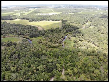 7019 Crooked Creek Lane Zolfo Springs FL 33890 - CHARLIE CREEK C7462024 image26