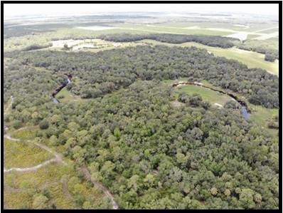 7019 Crooked Creek Lane Zolfo Springs FL 33890 - CHARLIE CREEK C7462024 image27