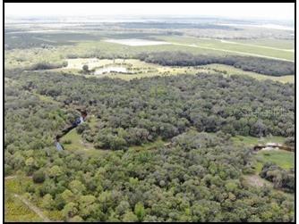 7019 Crooked Creek Lane Zolfo Springs FL 33890 - CHARLIE CREEK C7462024 image28