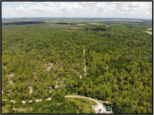 7019 Crooked Creek Lane Zolfo Springs FL 33890 - CHARLIE CREEK C7462024 image29