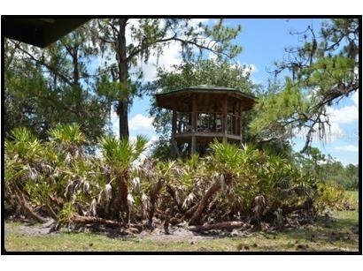 7019 Crooked Creek Lane Zolfo Springs FL 33890 - CHARLIE CREEK C7462024 image3