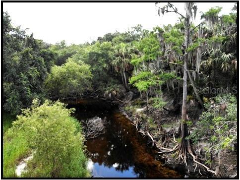 7019 Crooked Creek Lane Zolfo Springs FL 33890 - CHARLIE CREEK C7462024 image30