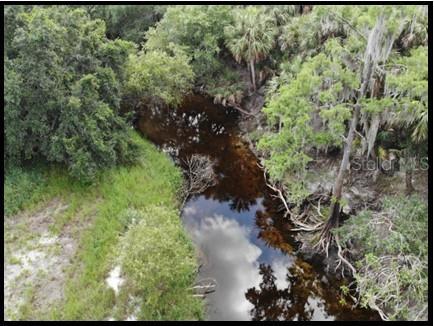 7019 Crooked Creek Lane Zolfo Springs FL 33890 - CHARLIE CREEK C7462024 image32