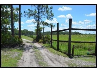 7019 Crooked Creek Lane Zolfo Springs FL 33890 - CHARLIE CREEK C7462024 image34