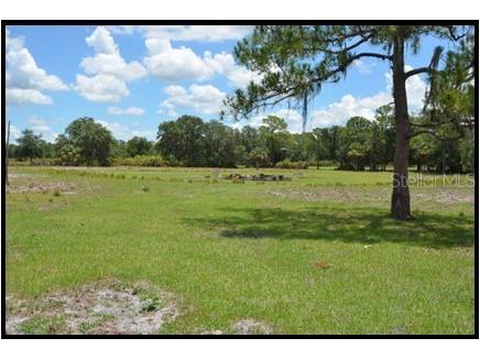 7019 Crooked Creek Lane Zolfo Springs FL 33890 - CHARLIE CREEK C7462024 image38
