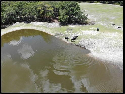 7019 Crooked Creek Lane Zolfo Springs FL 33890 - CHARLIE CREEK C7462024 image43