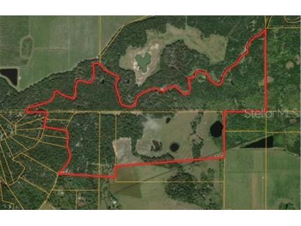 7019 Crooked Creek Lane Zolfo Springs FL 33890 - CHARLIE CREEK C7462024 image5