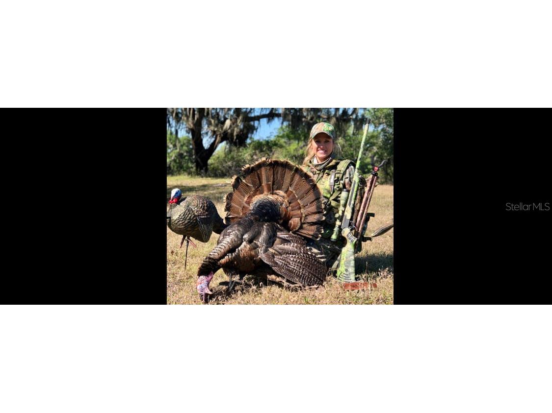 7019 Crooked Creek Lane Zolfo Springs FL 33890 - CHARLIE CREEK C7462024 image51