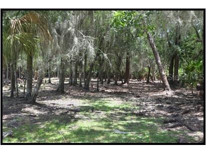7019 Crooked Creek Lane Zolfo Springs FL 33890 - CHARLIE CREEK C7462024 image6