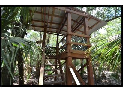 7019 Crooked Creek Lane Zolfo Springs FL 33890 - CHARLIE CREEK C7462024 image7