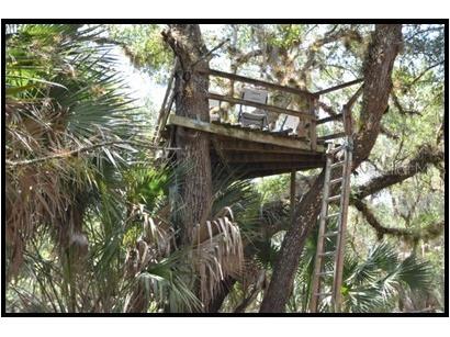 7019 Crooked Creek Lane Zolfo Springs FL 33890 - CHARLIE CREEK C7462024 image8