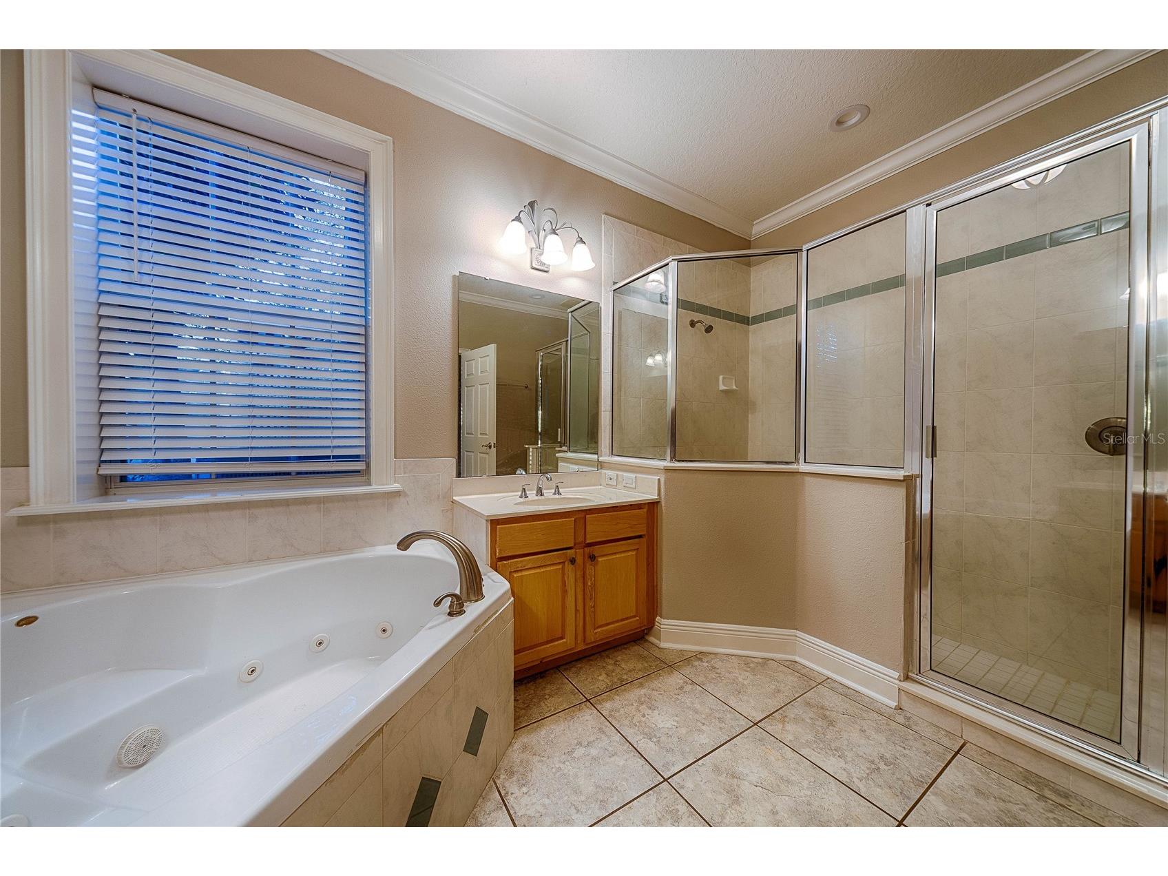 7019 Five Oaks Drive Harmony FL 34773 O6371188 image13