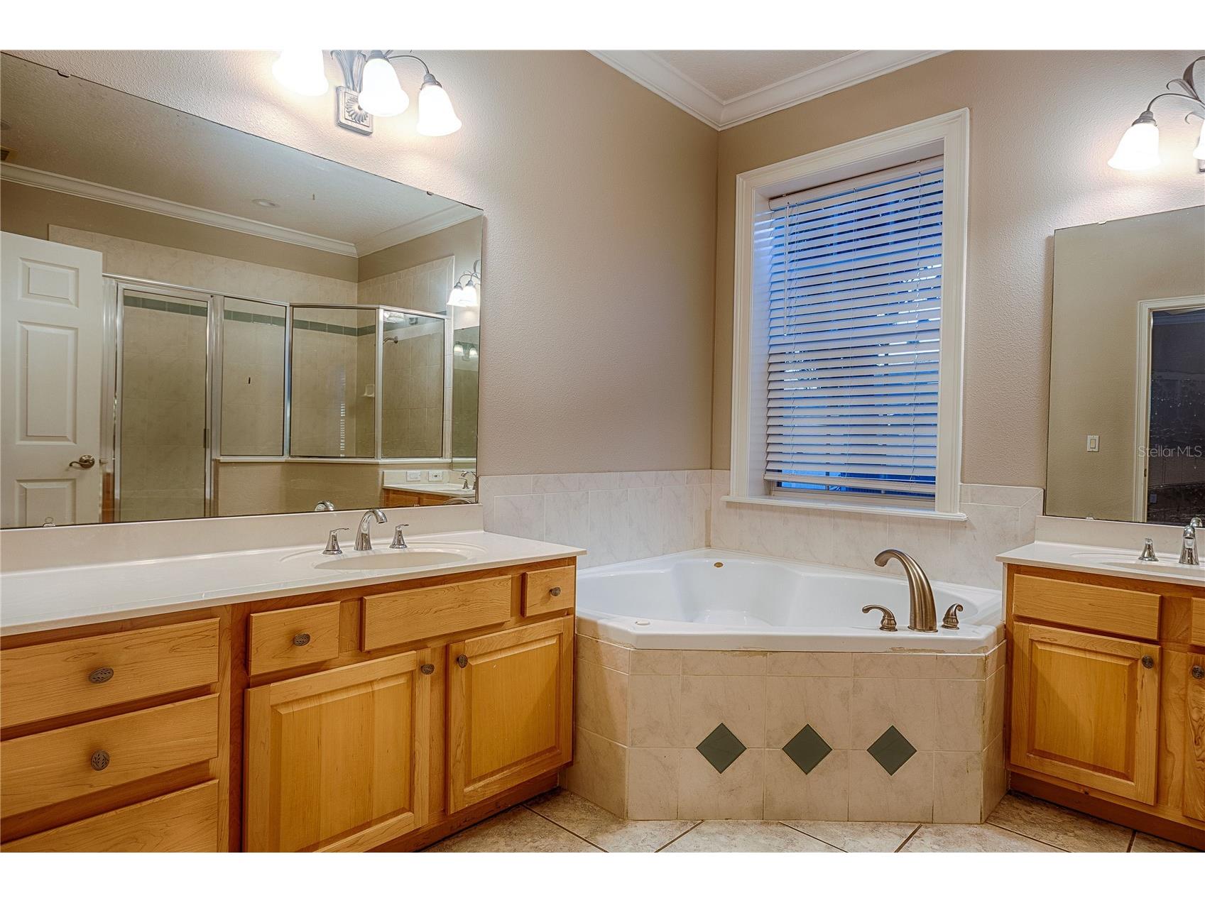 7019 Five Oaks Drive Harmony FL 34773 O6371188 image14