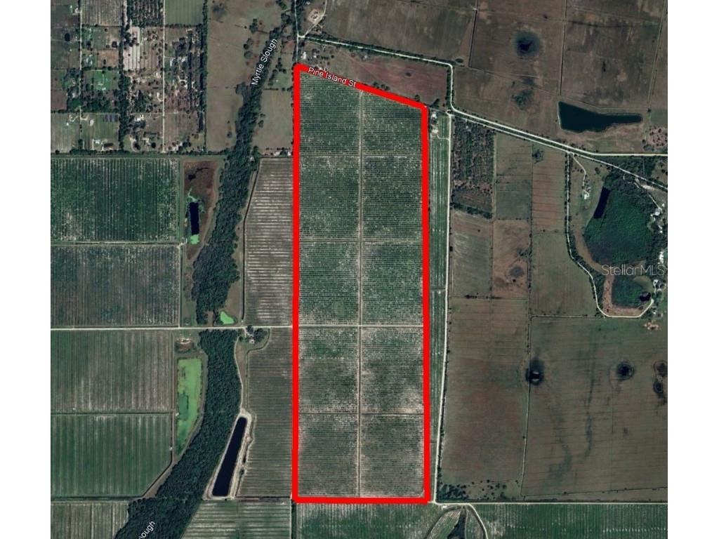 7019 SE Prairie Creek Road Arcadia FL 34266 C7506643 image1