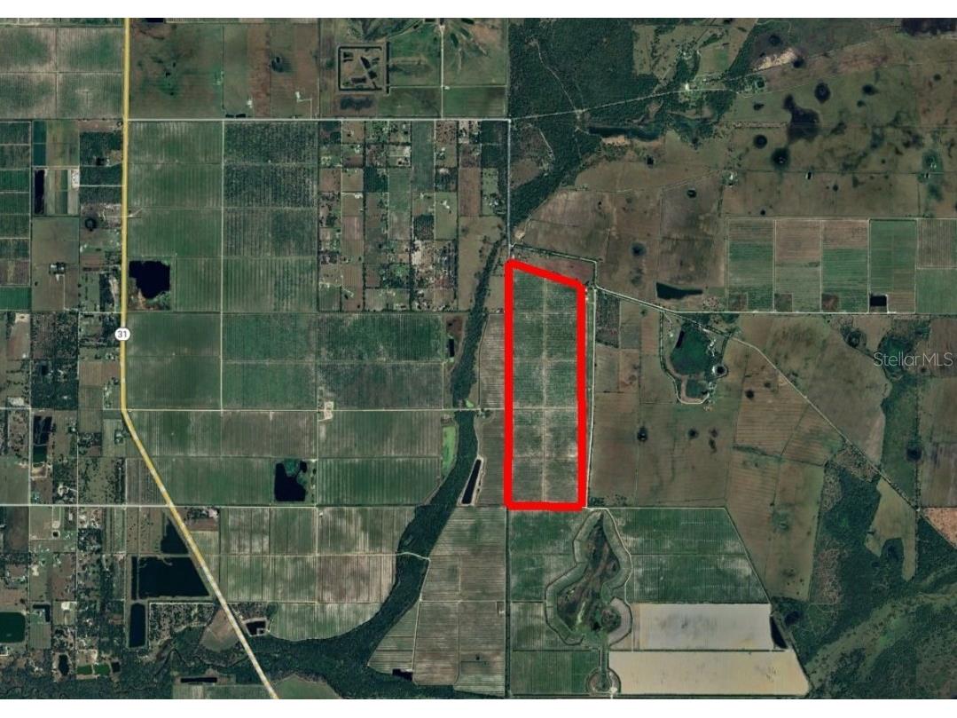 7019 SE Prairie Creek Road Arcadia FL 34266 C7506643 image2