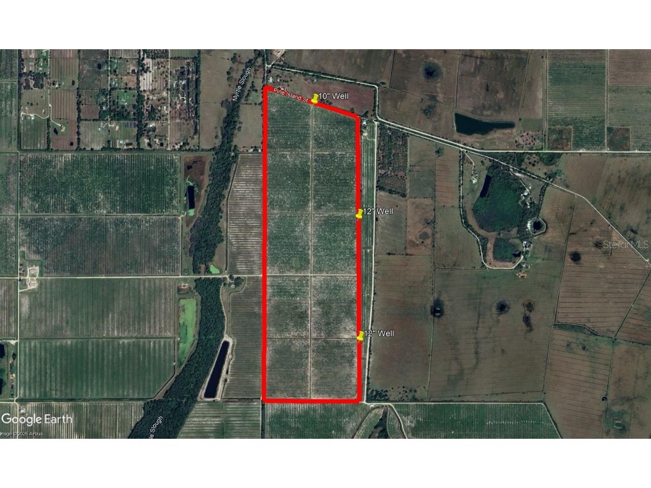 7019 SE Prairie Creek Road Arcadia FL 34266 C7506643 image3