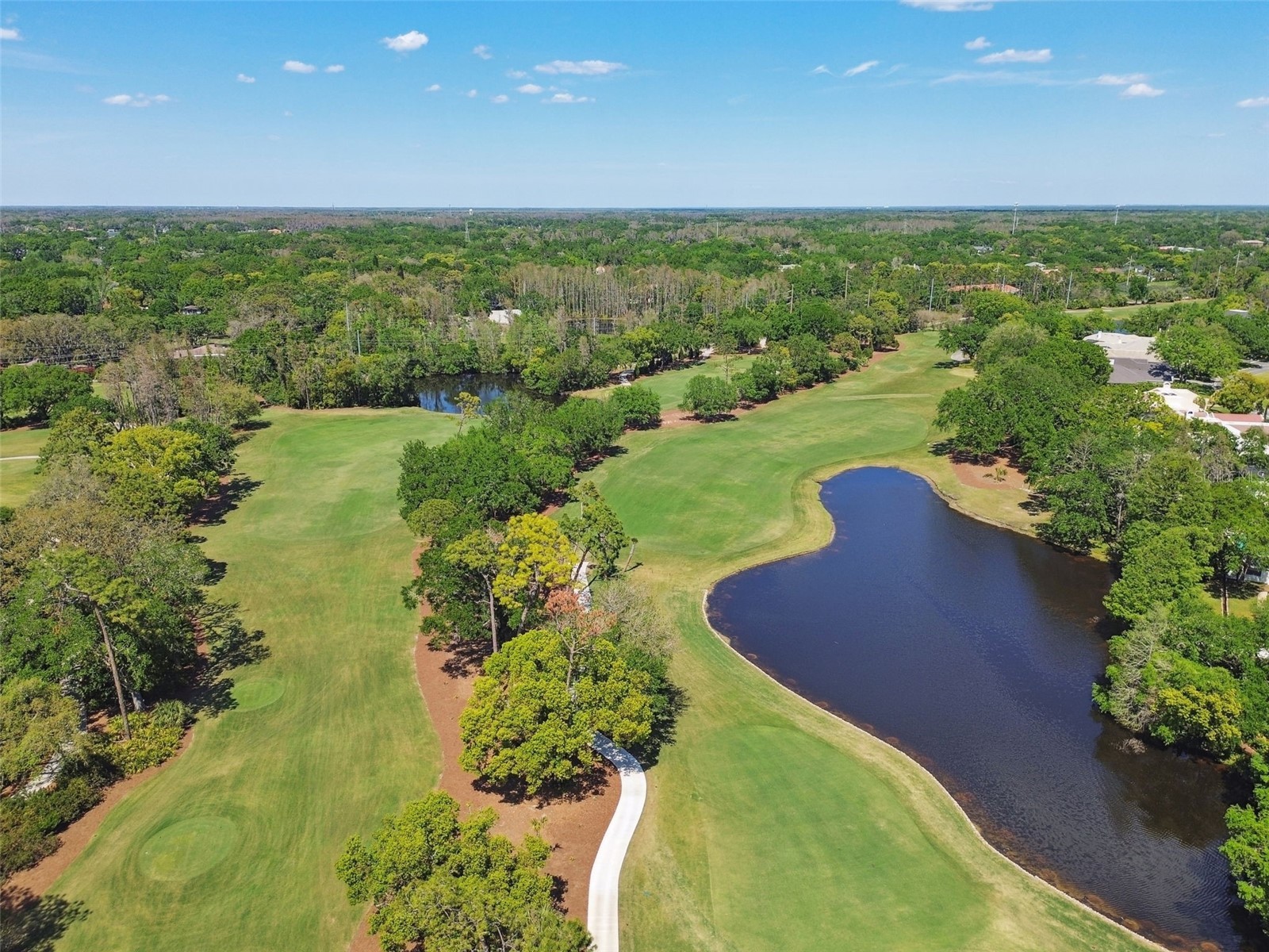 702 Berrocales De Avila Tampa FL 33613 TB8495311 image79