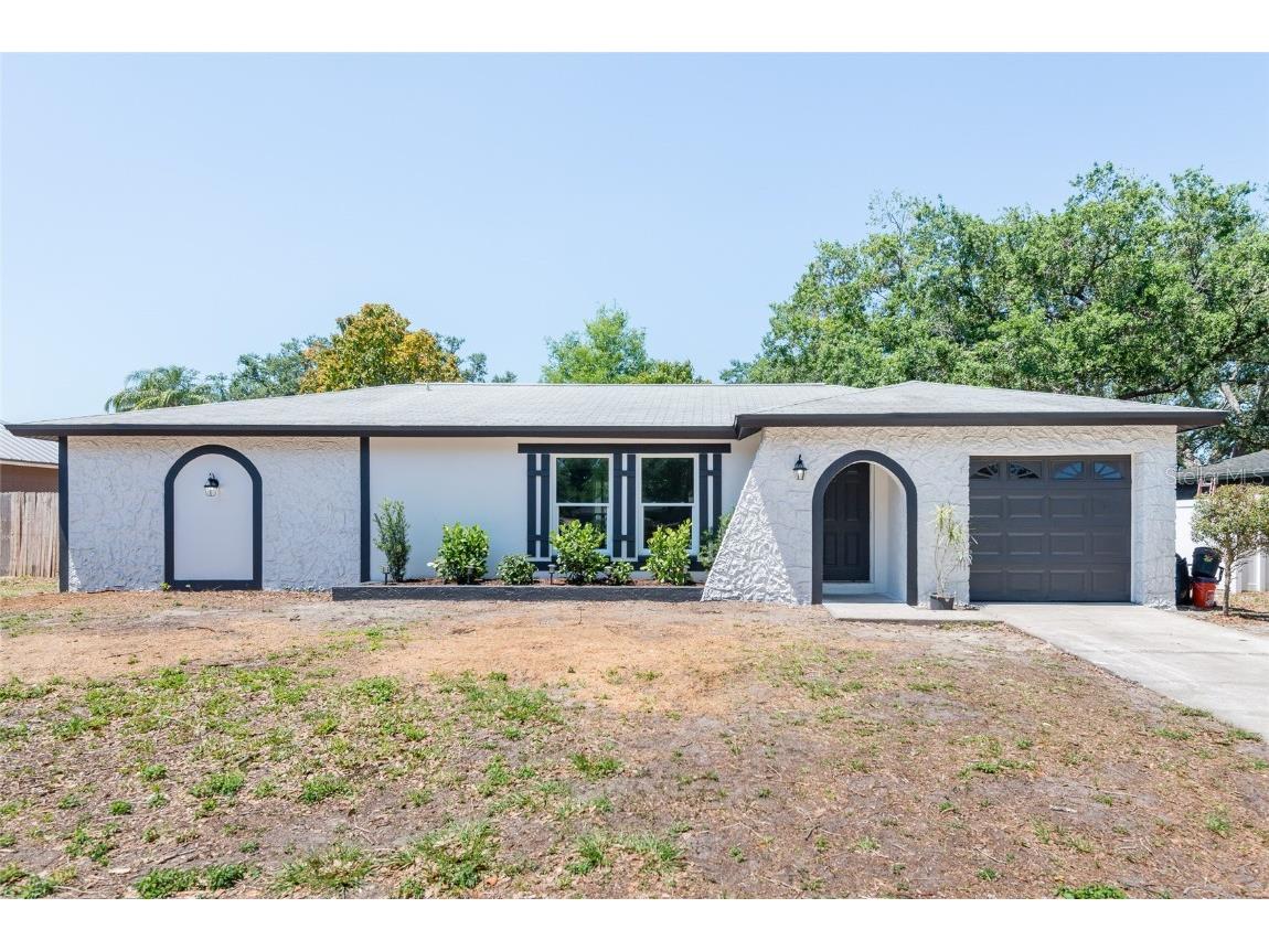 702 Briarcliff Drive Valrico FL 33594 TB8375539 image1