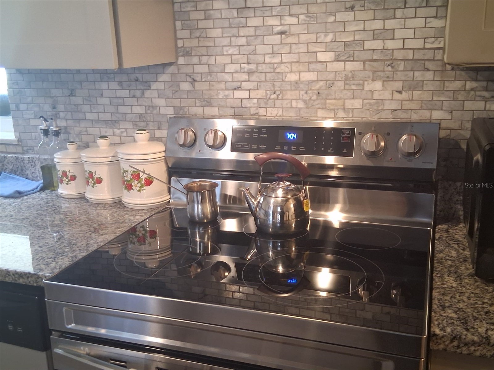 702 Coulter Place Brandon FL 33511 TB8517625 image10