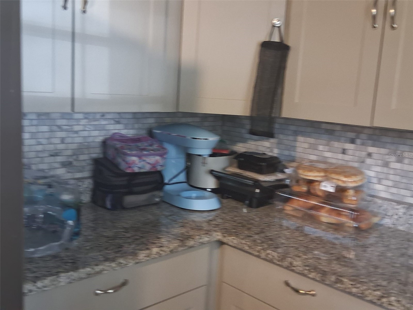702 Coulter Place Brandon FL 33511 TB8517625 image11
