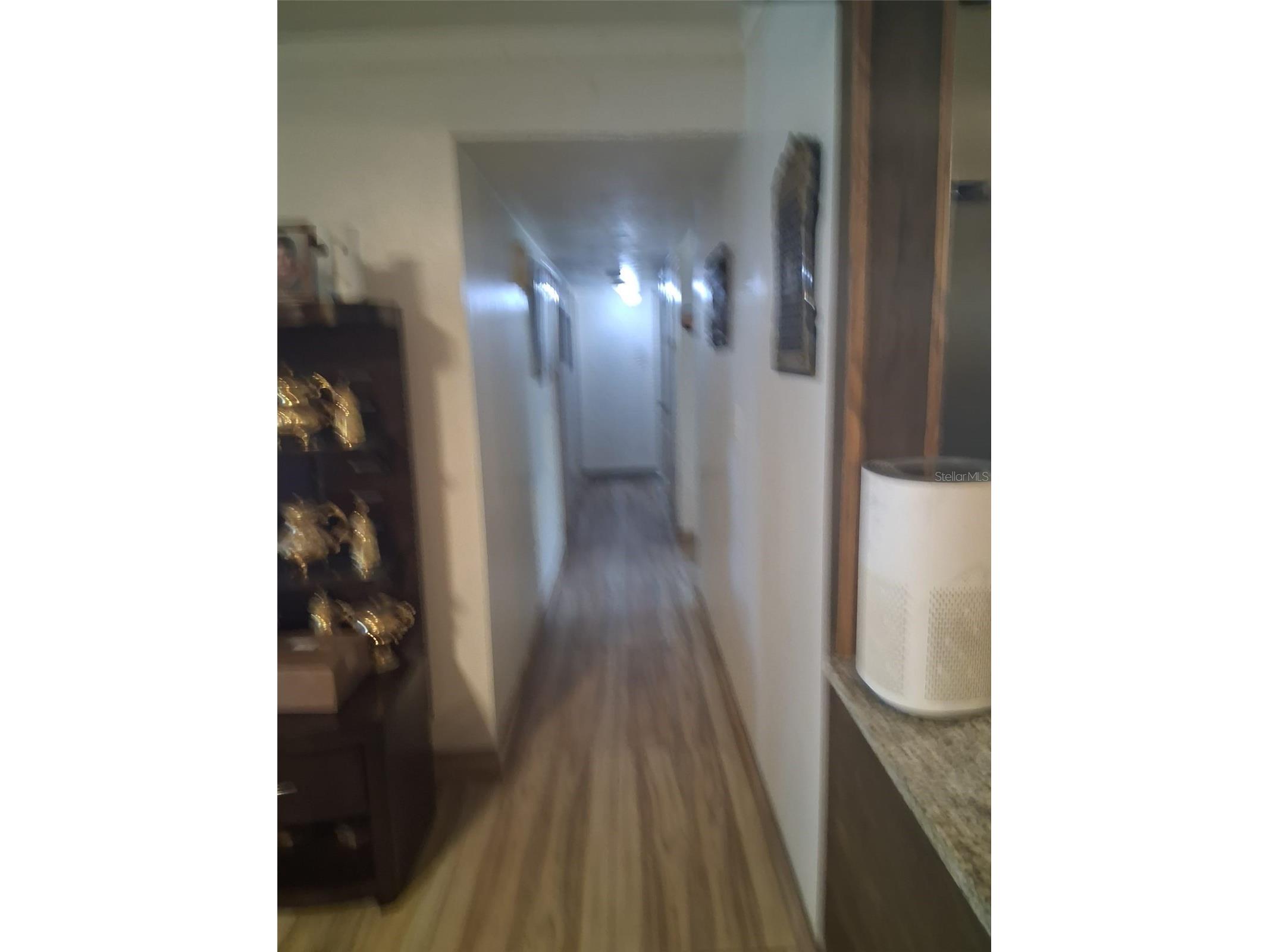 702 Coulter Place Brandon FL 33511 TB8517625 image14