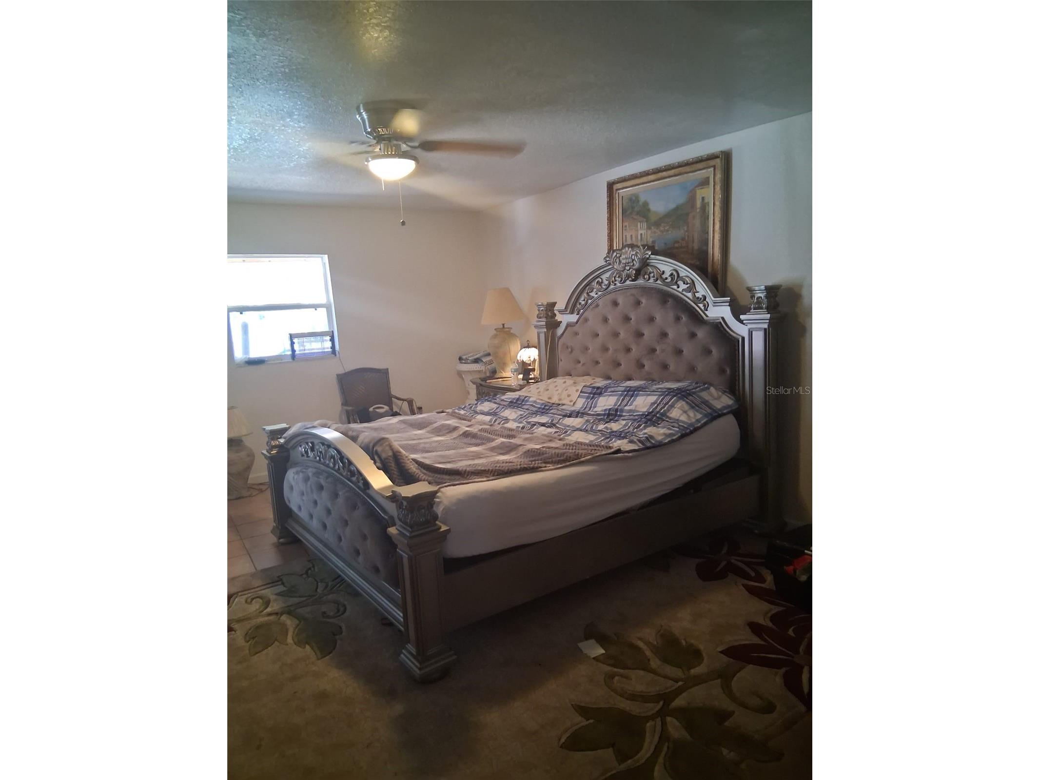 702 Coulter Place Brandon FL 33511 TB8517625 image17