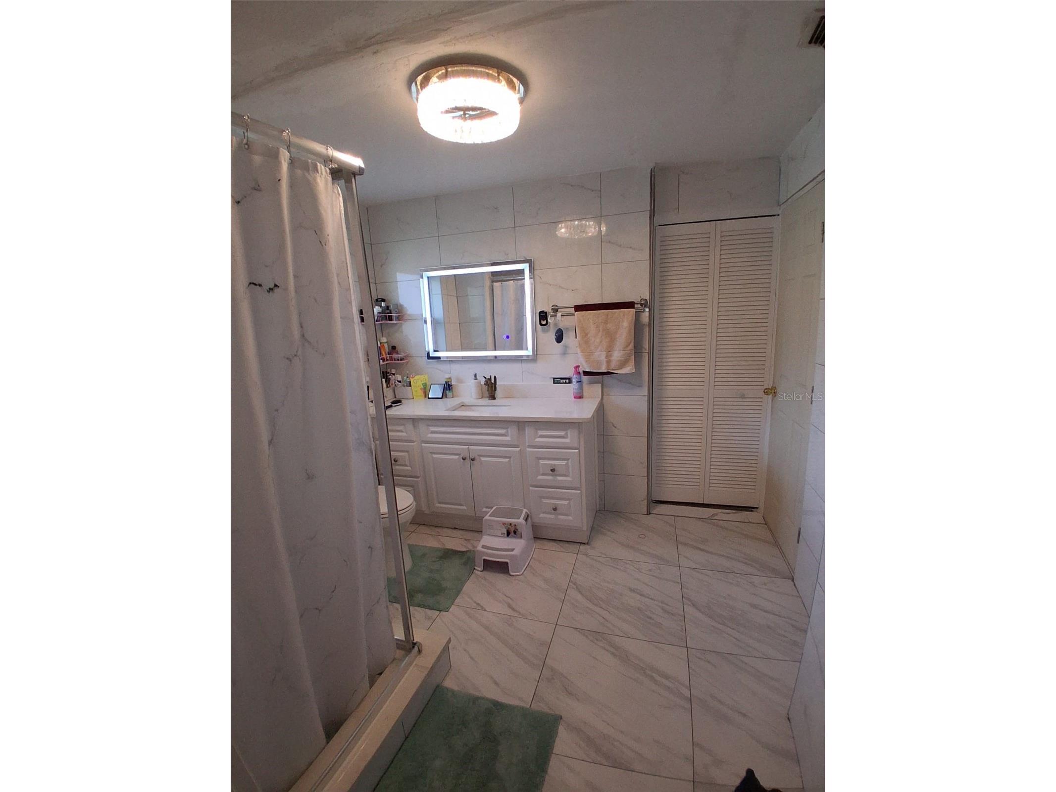 702 Coulter Place Brandon FL 33511 TB8517625 image18