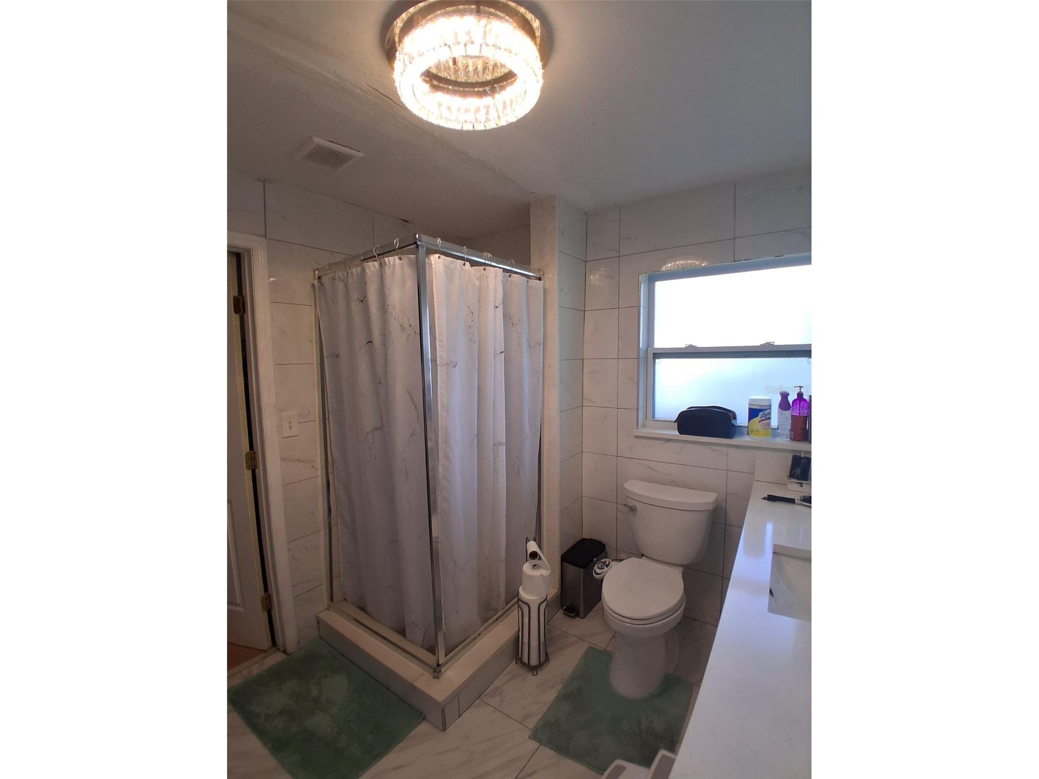 702 Coulter Place Brandon FL 33511 TB8517625 image19