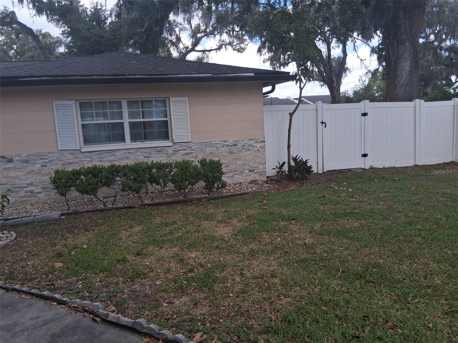 702 Coulter Place Brandon FL 33511 TB8517625 image2