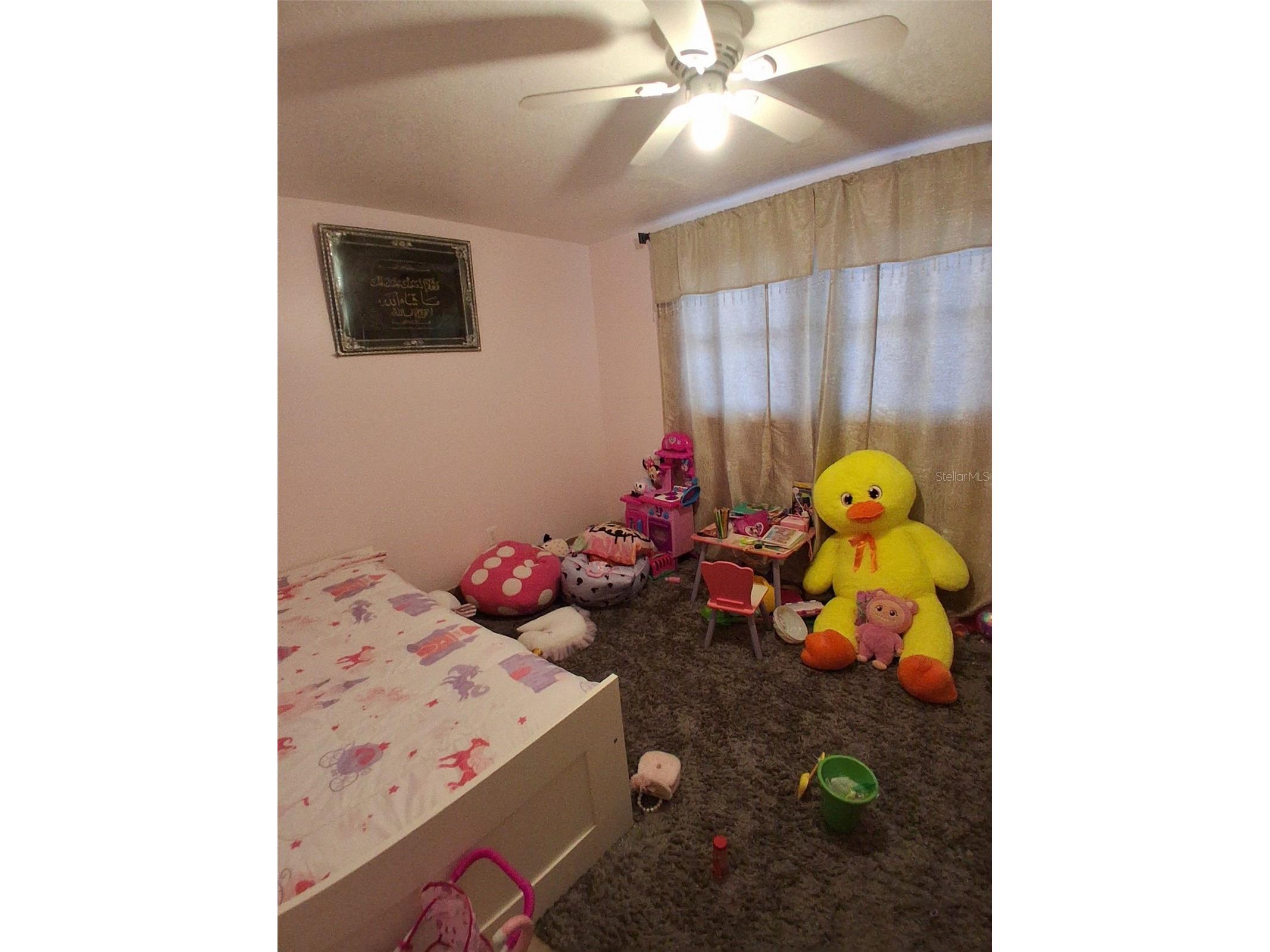 702 Coulter Place Brandon FL 33511 TB8517625 image20