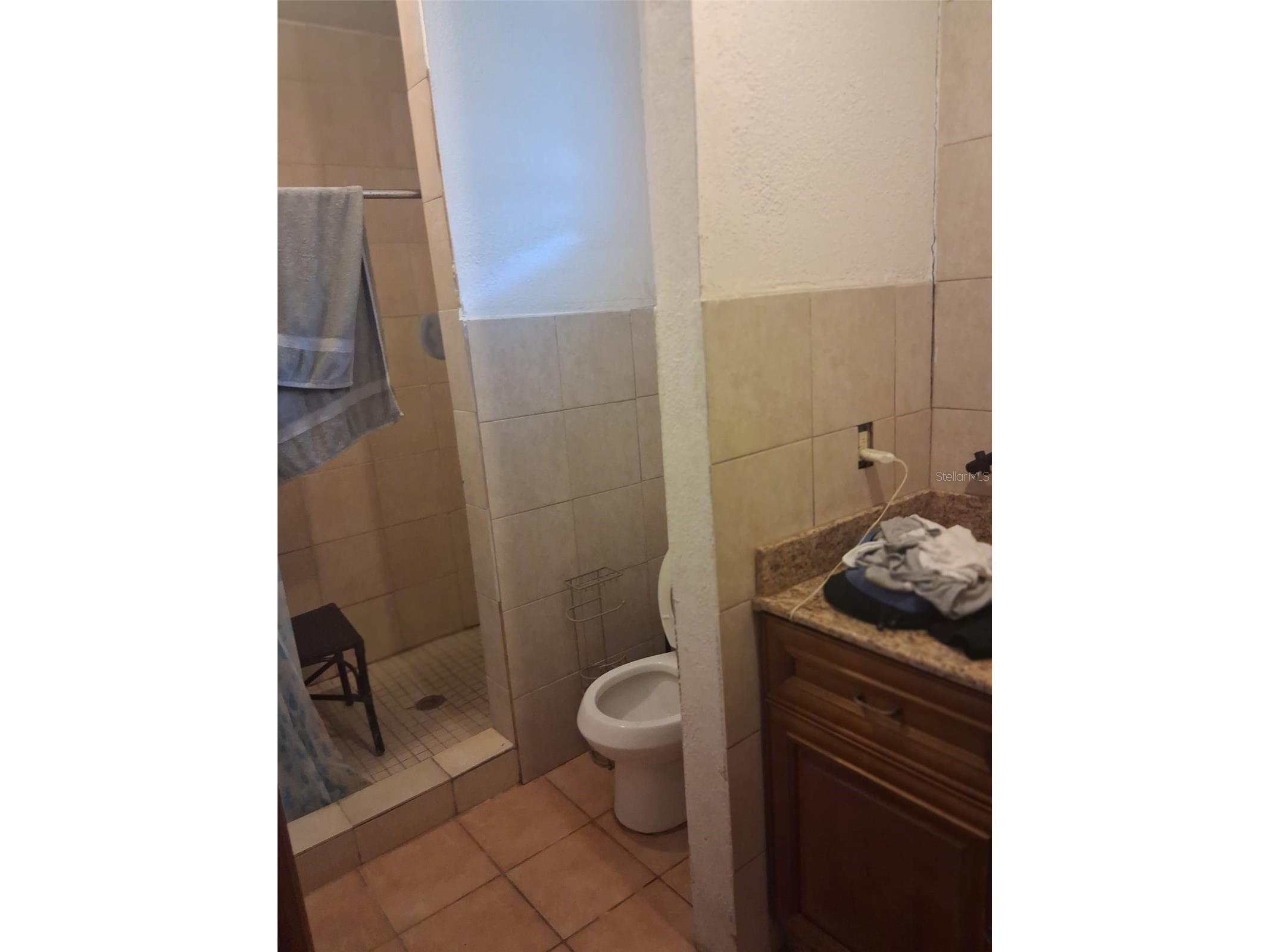 702 Coulter Place Brandon FL 33511 TB8517625 image21