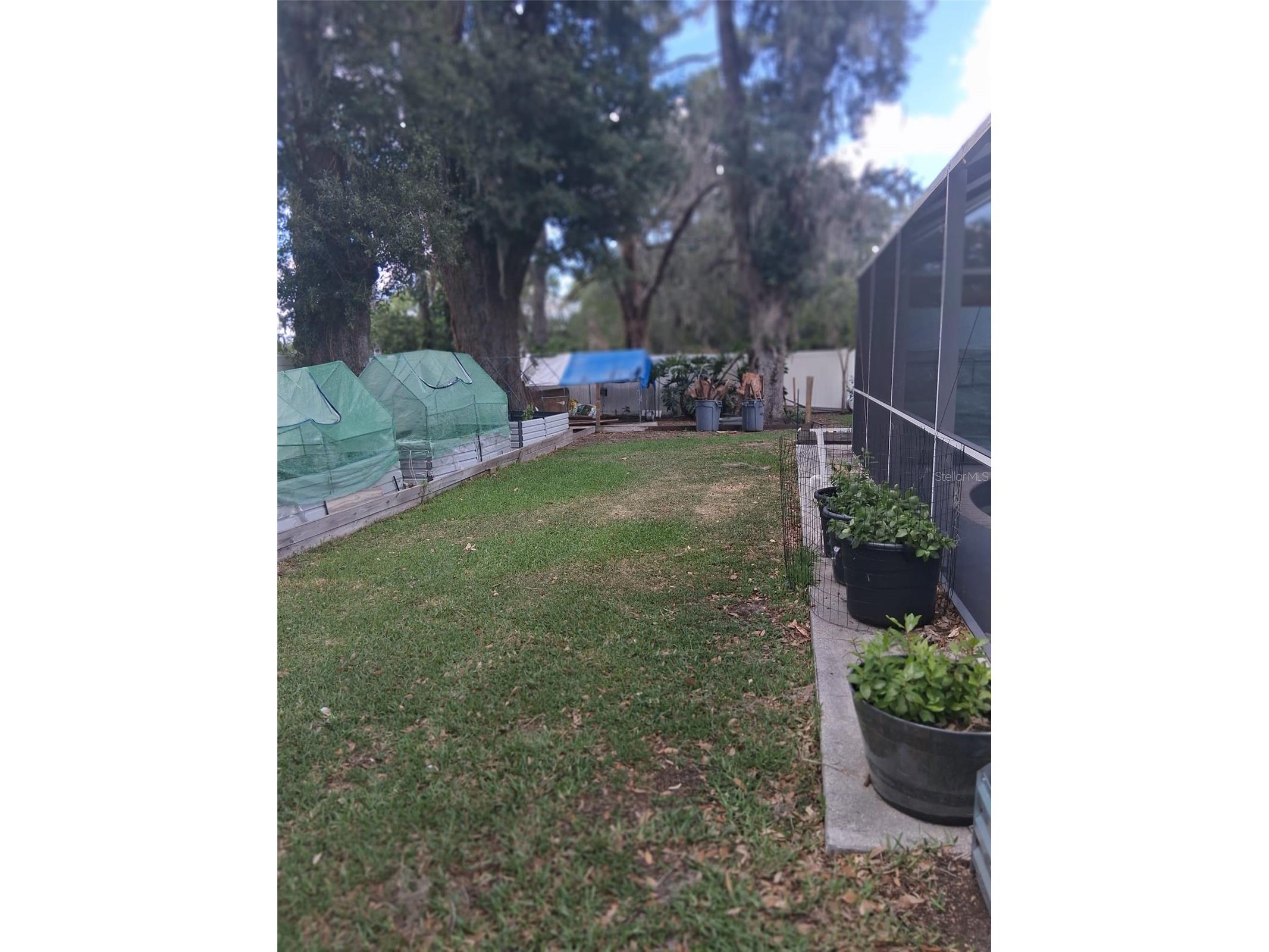 702 Coulter Place Brandon FL 33511 TB8517625 image43