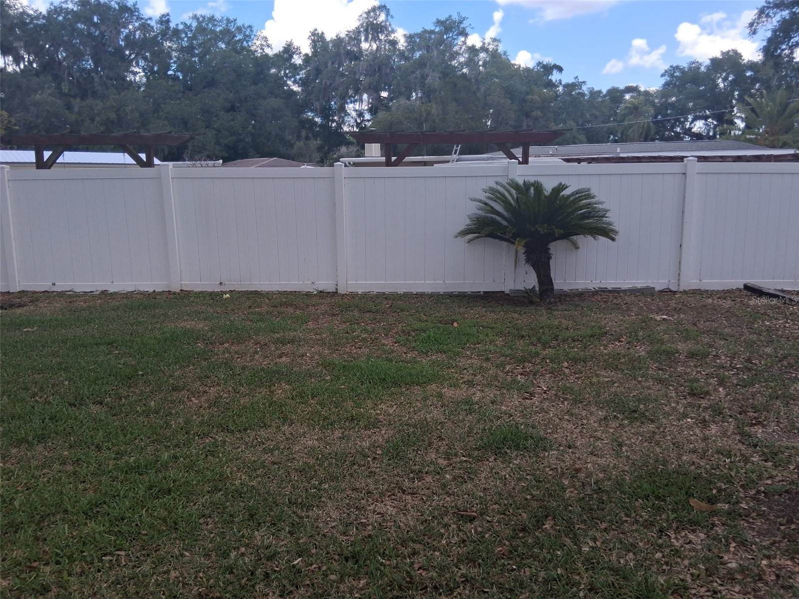 702 Coulter Place Brandon FL 33511 TB8517625 image6
