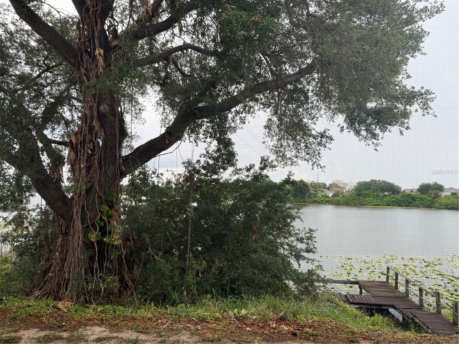 702 Country Lane NE #702 Winter Haven FL 33881 - LAKE BUCKEYE P4938736 image22